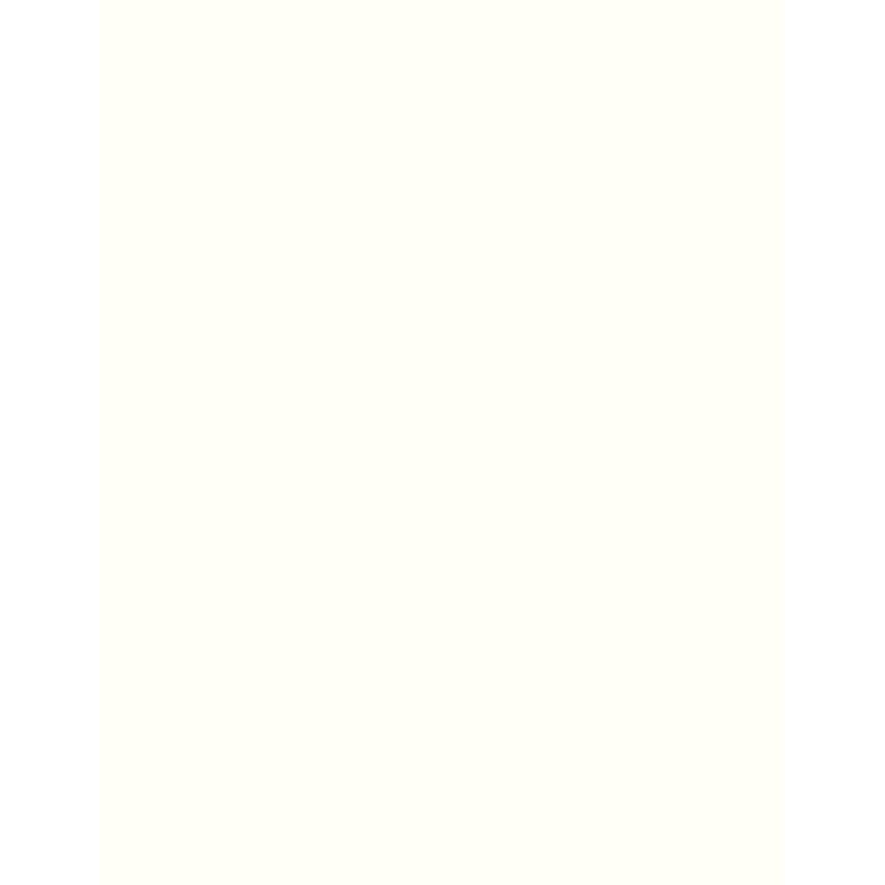 PA Paper® 8.5" x 11" 65lb. Smooth Cardstock, 1,000 Sheets